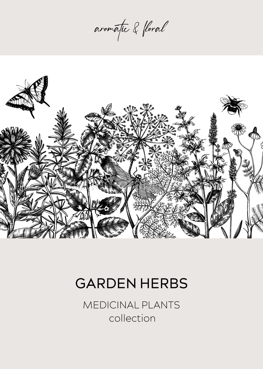 Vintage herbs card or invitation. Aromatic plants frame in sketched style. Botanical design for cosmetics, herbal medicine, herbal tea ingredients. Floral banner Illustration